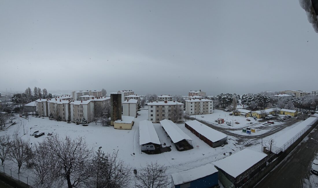 Bitlis ve ilçelerinde etkili olan kar yağışı, kenti adeta yeniden