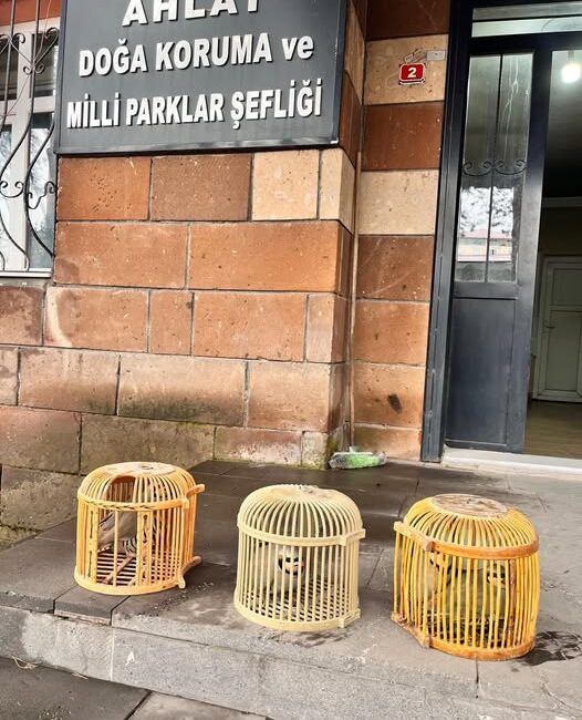 Bitlis Doğa Koruma ve Milli Parklar Müdürlüğü (DKMP) Ahlat DKMP