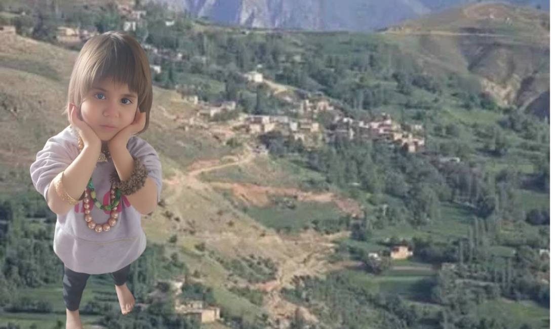 Bitlis’in Hizan ilçesine bağlı Sağınlı köyünde evinin önünde oyun oynarken