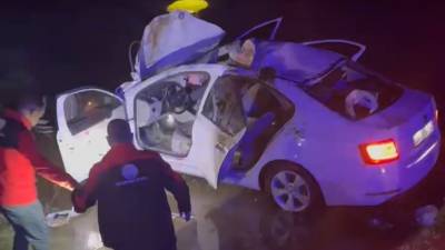 Bitlis’in Güroymak ilçesinde otomobilin başıboş ata çarpması sonucu meydana gelen