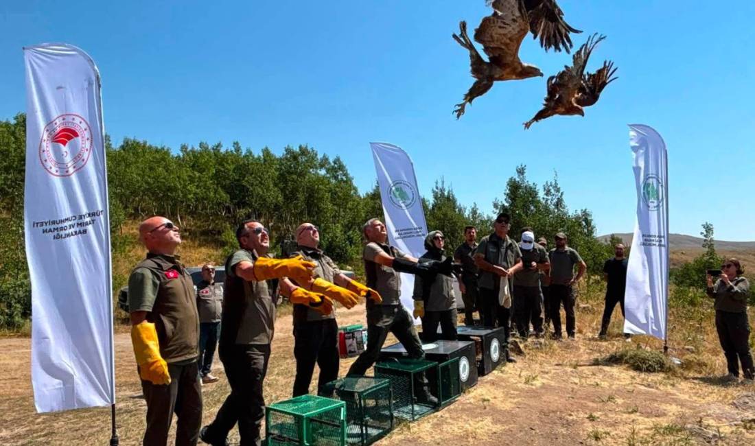 Milli Park olarak ilan edilen Tatvan ilçesindeki Nemrut Kalderası Milli