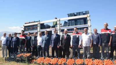 Bitlis’in verimli topraklarında yetiştirilen domateslerde hasat sezonu başladı. Kent genelinde